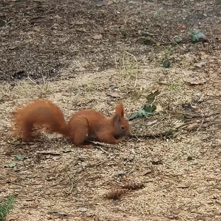 Semesterbostad Stefanie