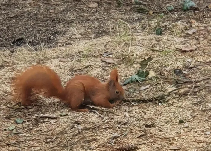 Vakantiehuis Stefanie